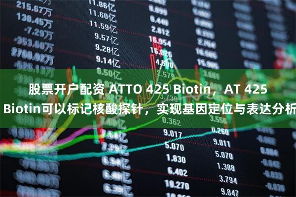 股票开户配资 ATTO 425 Biotin，AT 425 Biotin可以标记核酸探针，实现基因定位与表达分析